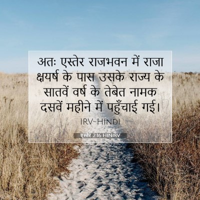 Picture 07 - एस्तेर 2:16 HINIRV - अतः एस्तेर राजभवन - Bible Verse Picture
