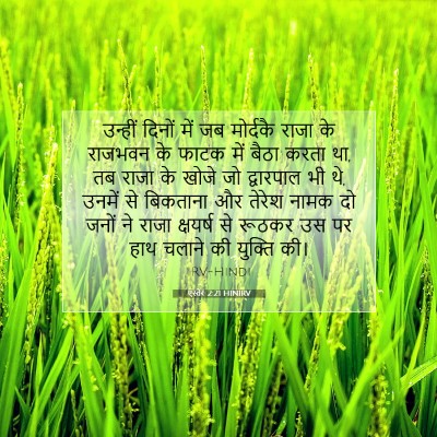Picture 07 - एस्तेर 2:21 HINIRV - उन्हीं दिनों में - Bible Verse Picture