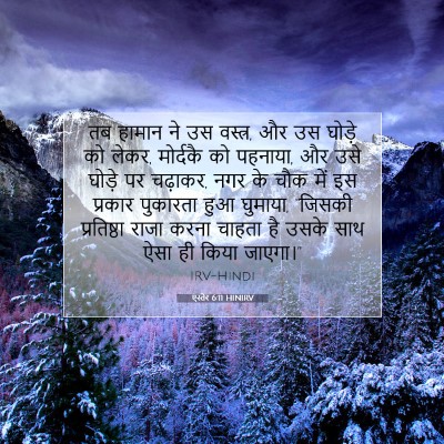 Picture 07 - एस्तेर 6:11 HINIRV - तब हामान ने उस - Bible Verse Picture