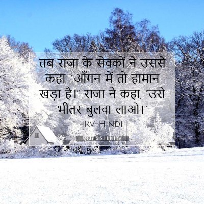 Picture 07 - एस्तेर 6:5 HINIRV - तब राजा के सेवकों - Bible Verse Picture