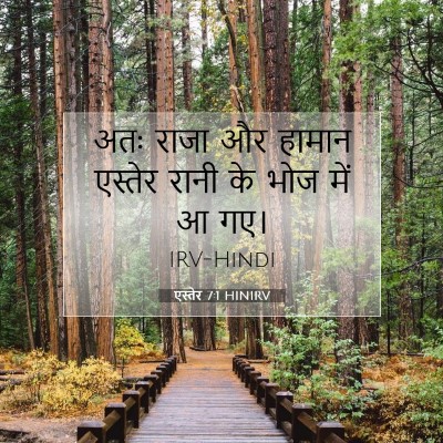 Picture 07 - एस्तेर 7:1 HINIRV - अतः राजा और हामान - Bible Verse Picture