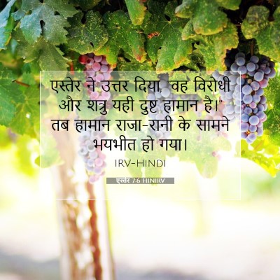 Picture 07 - एस्तेर 7:6 HINIRV - एस्तेर ने उत्तर - Bible Verse Picture