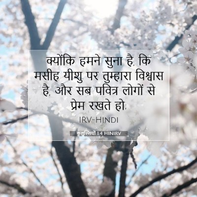 Picture 07 - कुलुस्सियों 1:4 HINIRV - क्योंकि हमने सुना - Bible Verse Picture