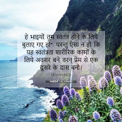 Picture 07 - गलातियों 5:13 HINIRV - हे भाइयों, तुम - Bible Verse Picture