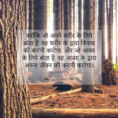 Picture 07 - गलातियों 6:8 HINIRV - क्योंकि जो अपने - Bible Verse Picture
