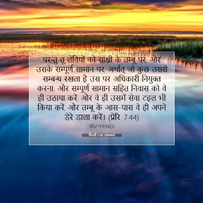 Picture 07 - गिनती 1:50 HINIRV - परन्तु तू लेवियों - Bible Verse Picture