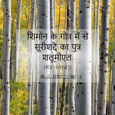 Picture 07 - गिनती 1:6 HINIRV - शिमोन के गोत्र में - Bible Verse Picture