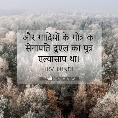 Picture 07 - गिनती 10:20 HINIRV - और गादियों के - Bible Verse Picture