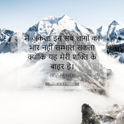 Picture 07 - गिनती 11:14 HINIRV - मैं अकेला इन सब - Bible Verse Picture