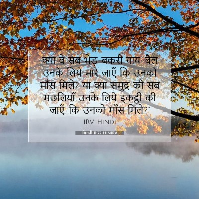 Picture 07 - गिनती 11:22 HINIRV - क्या वे सब - Bible Verse Picture