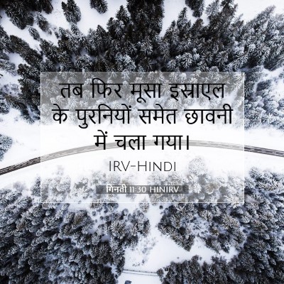 Picture 07 - गिनती 11:30 HINIRV - तब फिर मूसा - Bible Verse Picture