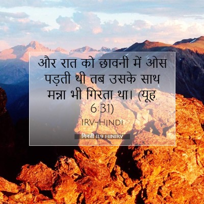 Picture 07 - गिनती 11:9 HINIRV - और रात को छावनी में - Bible Verse Picture