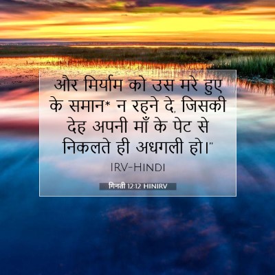 Picture 07 - गिनती 12:12 HINIRV - और मिर्याम को उस - Bible Verse Picture