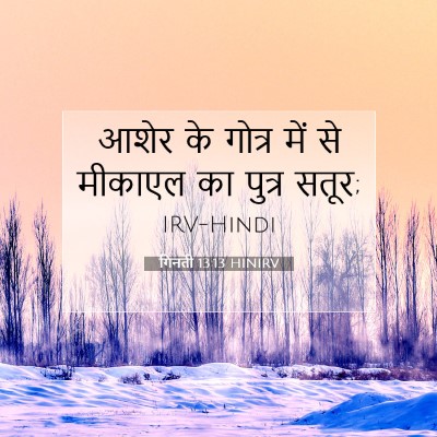 Picture 07 - गिनती 13:13 HINIRV - आशेर के गोत्र में - Bible Verse Picture