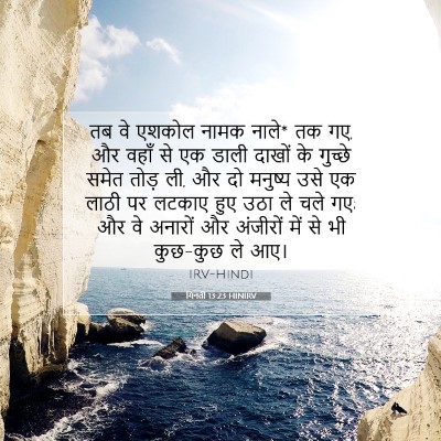 Picture 07 - गिनती 13:23 HINIRV - तब वे एशकोल नामक - Bible Verse Picture