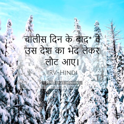 Picture 07 - गिनती 13:25 HINIRV - चालीस दिन के बाद* - Bible Verse Picture