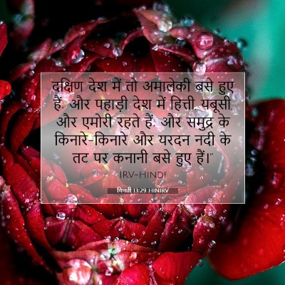Picture 07 - गिनती 13:29 HINIRV - दक्षिण देश में तो - Bible Verse Picture
