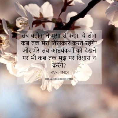Picture 07 - गिनती 14:11 HINIRV - तब यहोवा ने मूसा से - Bible Verse Picture
