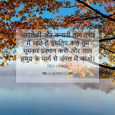 Picture 07 - गिनती 14:25 HINIRV - अमालेकी और कनानी - Bible Verse Picture
