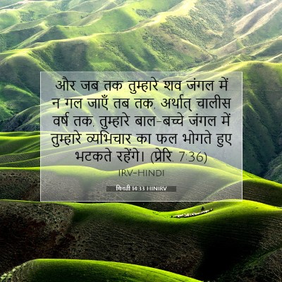 Picture 07 - गिनती 14:33 HINIRV - और जब तक तुम्हारे - Bible Verse Picture