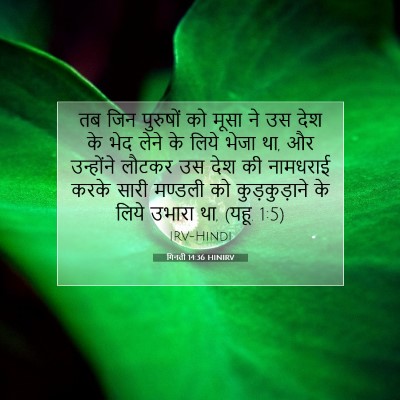 Picture 07 - गिनती 14:36 HINIRV - तब जिन पुरुषों को - Bible Verse Picture