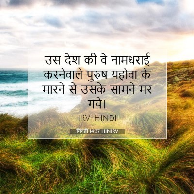 Picture 07 - गिनती 14:37 HINIRV - उस देश की वे - Bible Verse Picture