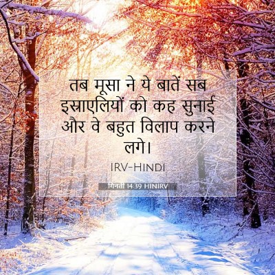Picture 07 - गिनती 14:39 HINIRV - तब मूसा ने ये बातें - Bible Verse Picture