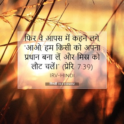 Picture 07 - गिनती 14:4 HINIRV - फिर वे आपस में कहने - Bible Verse Picture