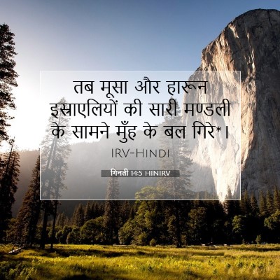 Picture 07 - गिनती 14:5 HINIRV - तब मूसा और हारून - Bible Verse Picture
