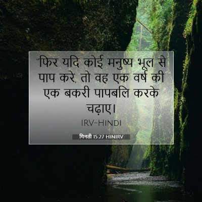 Picture 07 - गिनती 15:27 HINIRV - “फिर यदि कोई - Bible Verse Picture
