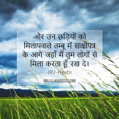 Picture 07 - गिनती 17:4 HINIRV - और उन छड़ियों को - Bible Verse Picture