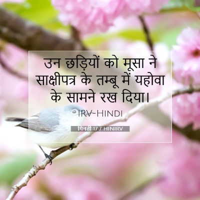 Picture 07 - गिनती 17:7 HINIRV - उन छड़ियों को मूसा - Bible Verse Picture