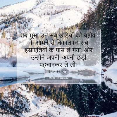 Picture 07 - गिनती 17:9 HINIRV - तब मूसा उन सब - Bible Verse Picture