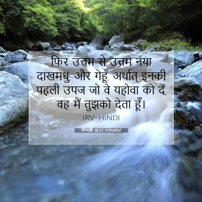 Picture 07 - गिनती 18:12 HINIRV - फिर उत्तम से उत्तम - Bible Verse Picture