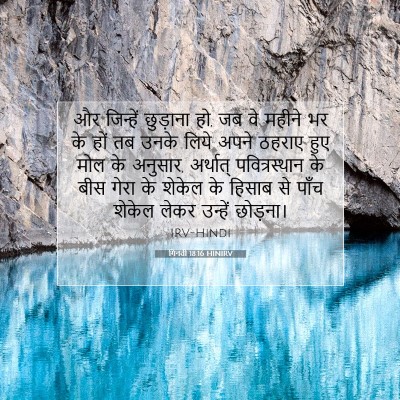 Picture 07 - गिनती 18:16 HINIRV - और जिन्हें - Bible Verse Picture