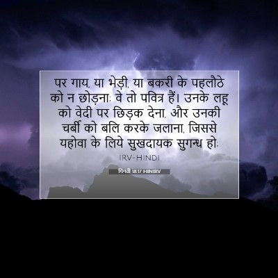 Picture 07 - गिनती 18:17 HINIRV - पर गाय, या भेड़ी, या - Bible Verse Picture