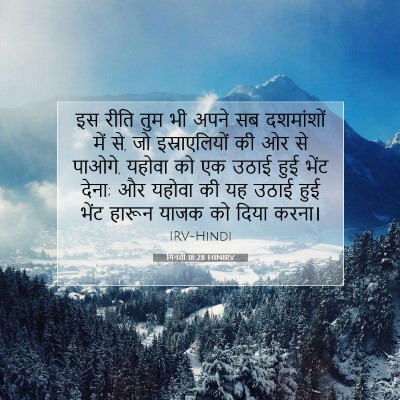Picture 07 - गिनती 18:28 HINIRV - इस रीति तुम भी अपने - Bible Verse Picture