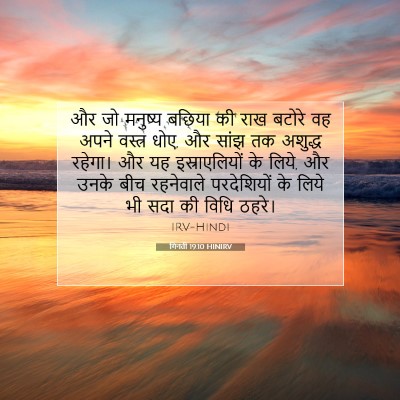 Picture 07 - गिनती 19:10 HINIRV - और जो मनुष्य बछिया - Bible Verse Picture