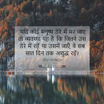 Picture 07 - गिनती 19:14 HINIRV - “यदि कोई मनुष्य - Bible Verse Picture