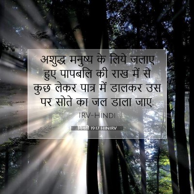 Picture 07 - गिनती 19:17 HINIRV - अशुद्ध मनुष्य के - Bible Verse Picture