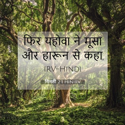 Picture 07 - गिनती 2:1 HINIRV - फिर यहोवा ने मूसा - Bible Verse Picture
