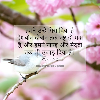 Picture 07 - गिनती 21:30 HINIRV - हमने उन्हें गिरा - Bible Verse Picture