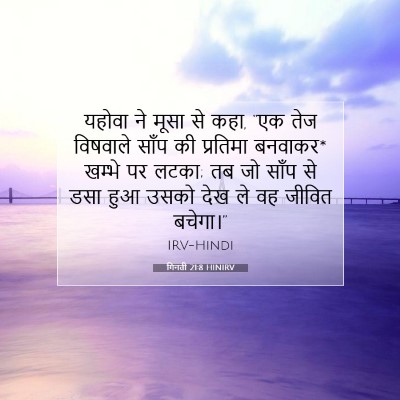 Picture 07 - गिनती 21:8 HINIRV - यहोवा ने मूसा से - Bible Verse Picture