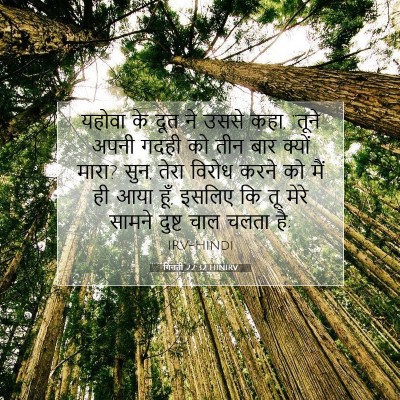 Picture 07 - गिनती 22:32 HINIRV - यहोवा के दूत ने - Bible Verse Picture