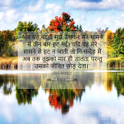 Picture 07 - गिनती 22:33 HINIRV - और यह गदही मुझे - Bible Verse Picture