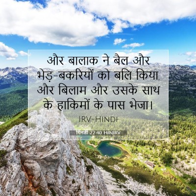 Picture 07 - गिनती 22:40 HINIRV - और बालाक ने बैल और - Bible Verse Picture