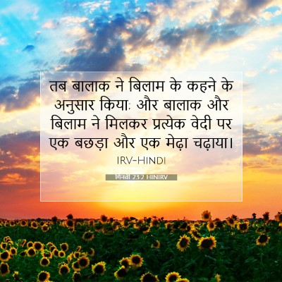 Picture 07 - गिनती 23:2 HINIRV - तब बालाक ने बिलाम - Bible Verse Picture