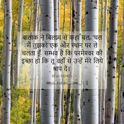 Picture 07 - गिनती 23:27 HINIRV - बालाक ने बिलाम से - Bible Verse Picture