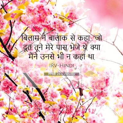 Picture 07 - गिनती 24:12 HINIRV - बिलाम ने बालाक से - Bible Verse Picture