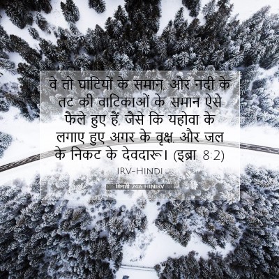 Picture 07 - गिनती 24:6 HINIRV - वे तो घाटियों के - Bible Verse Picture